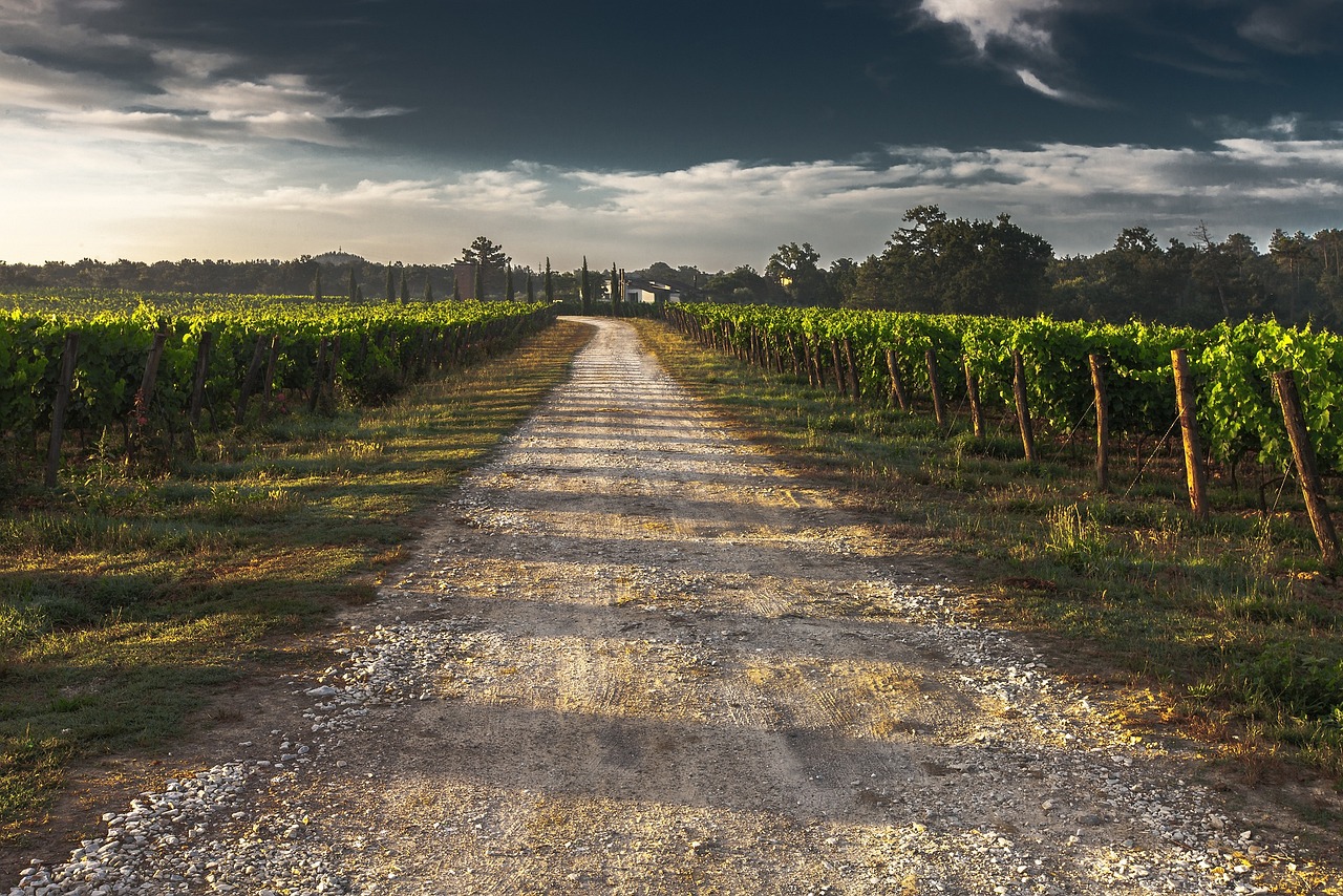 The Mystery of the Bimini Road - Natural or Man-Made?